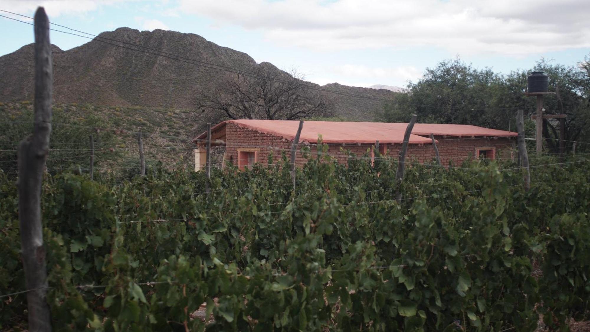 Hospedaje Finca La Encantada Seclantás エクステリア 写真