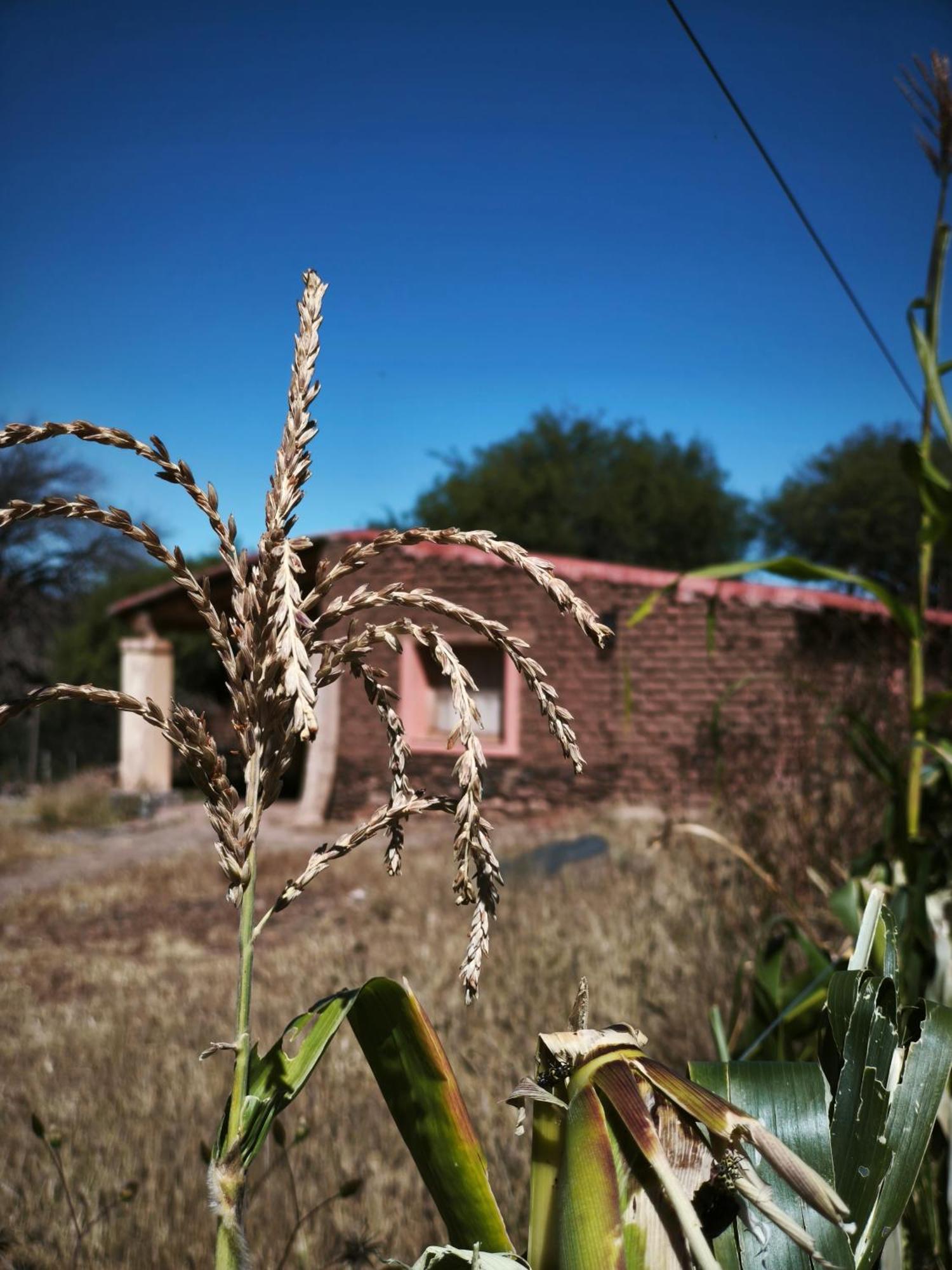Hospedaje Finca La Encantada Seclantás エクステリア 写真